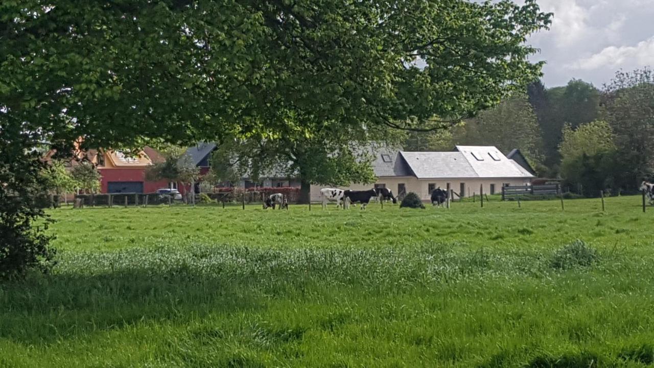"Chez Michel " Les Gites De Sery Bouillancourt-en-Sery Eksteriør bilde